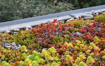 the cost of Barnet Gate green roof installation