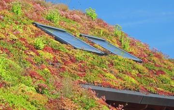 Barnet Gate living roof systems